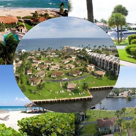 Royal Flamingo Villas Хиллсборо-Бич Экстерьер фото